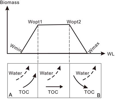 Anti-phase Variation of Hydrology and In-Phase Carbon Accumulations in Two Wetlands in Southern and Northern China Since the Last Deglaciation